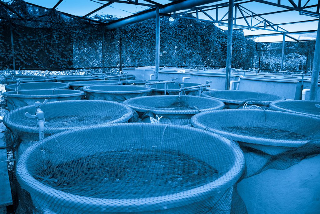 Anwendungsbereiche nachhaltige und effiziente Blue Eco regelbare Pumpen
